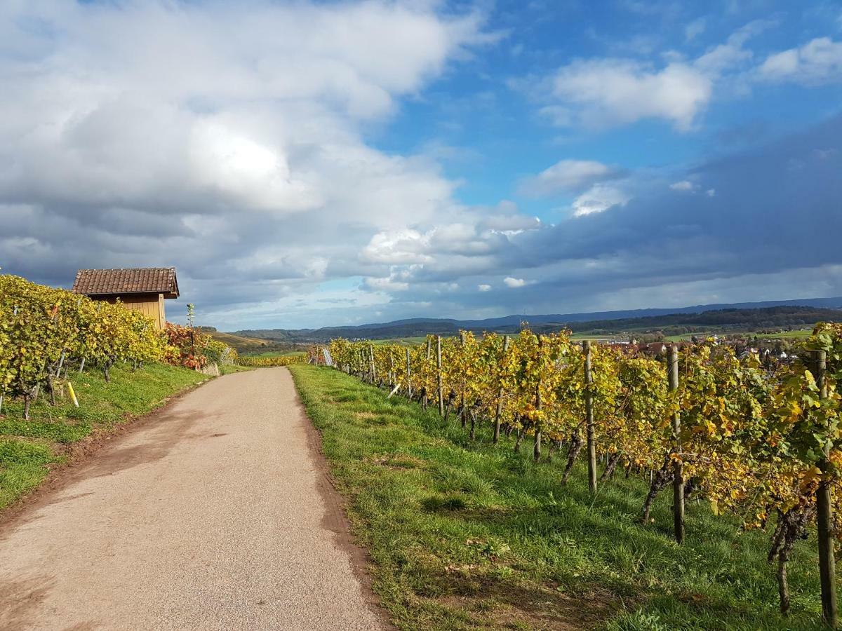 Gaestezimmer In Aspach Kültér fotó